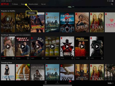 Click <b>Movies</b> in the left panel. . How to download movies on ipad